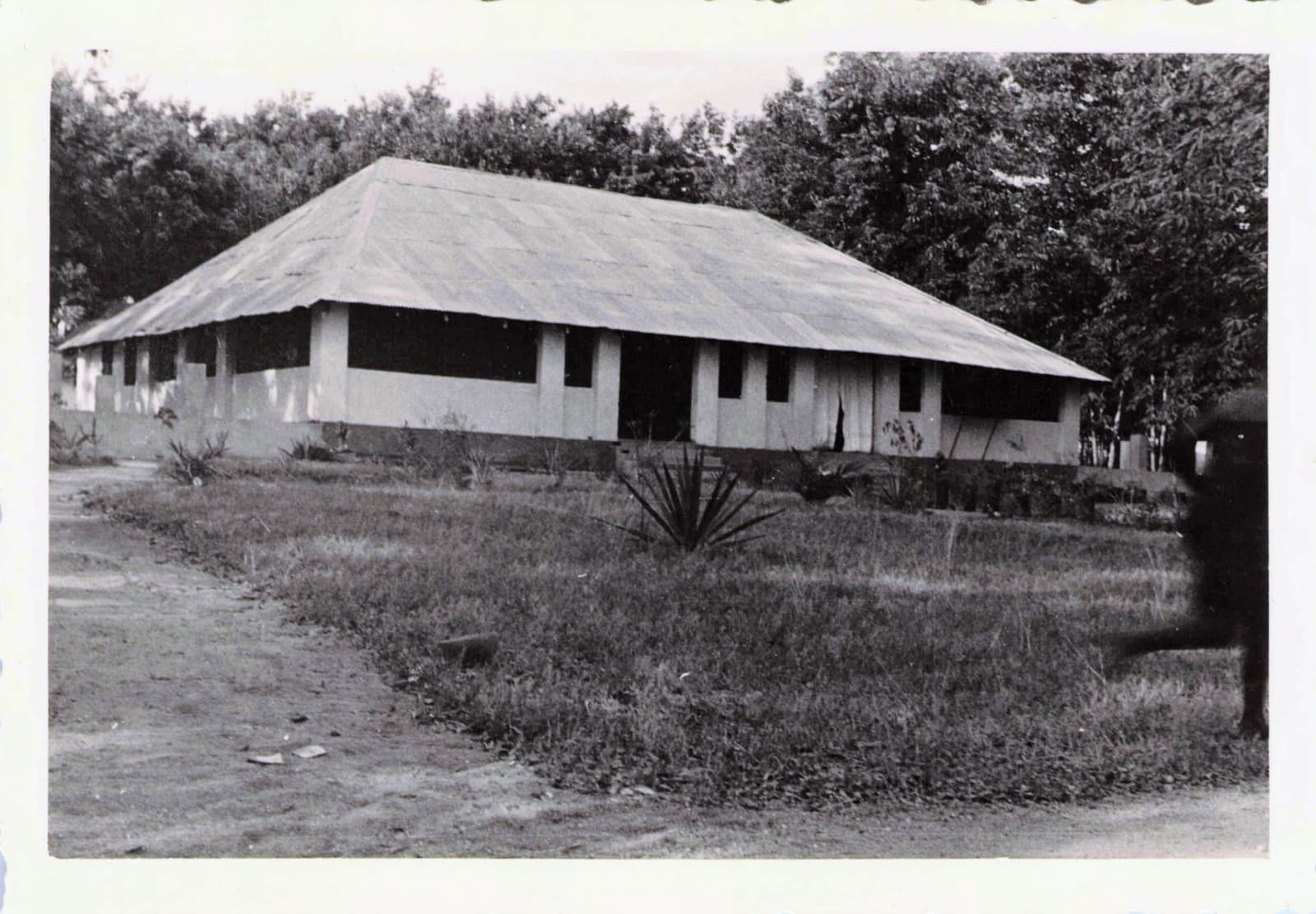 A long, low house among trees, black and white snapshot.